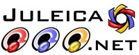 Logo juleica
